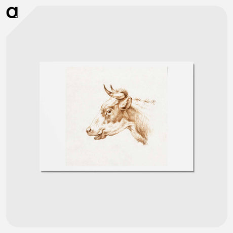 アートポストカード-Head of a cow - ジャン ベルナール Postcard.