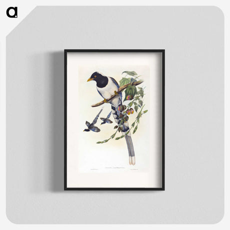 2-12_John-Gould_blk