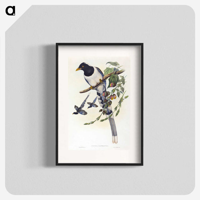 2-12_John-Gould_blk