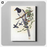2-12_John-Gould_canvas
