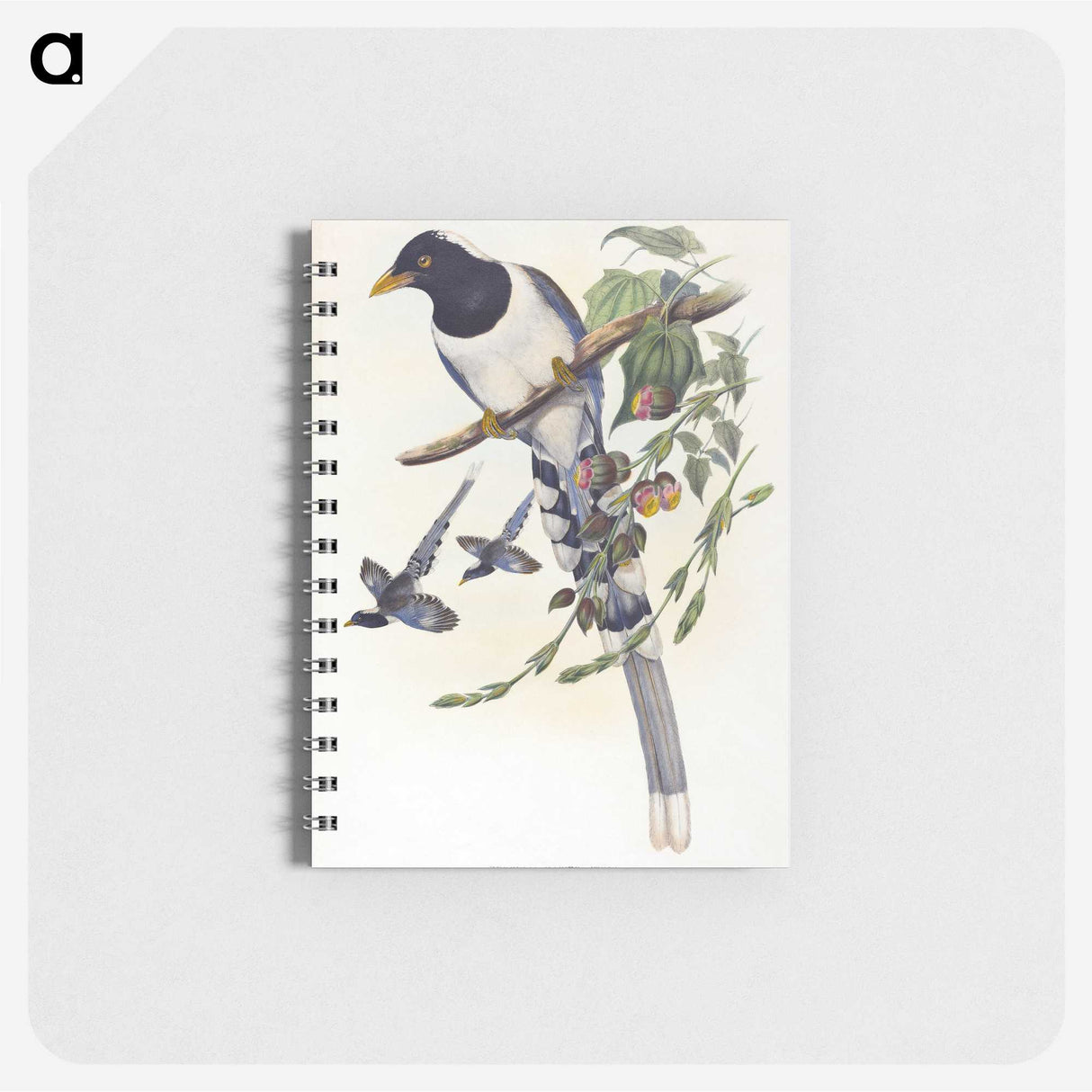 2-12_John-Gould_memo