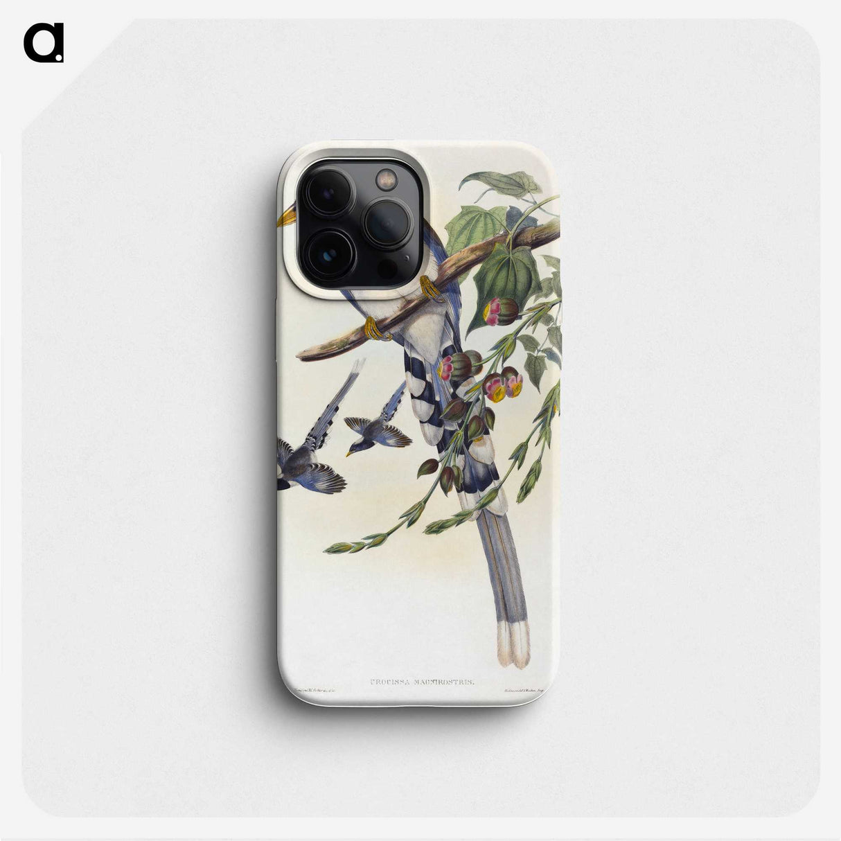 2-12_John-Gould_phone
