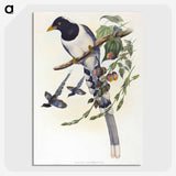 2-12_John-Gould_picture-crop