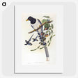 2-12_John-Gould_picture