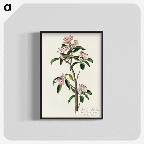 2-12_John-James-Audubon_blk-crop