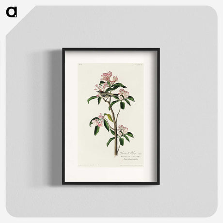 2-12_John-James-Audubon_blk