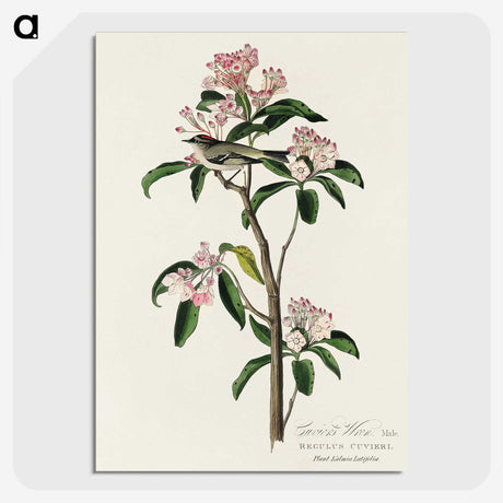 2-12_John-James-Audubon_picture-crop