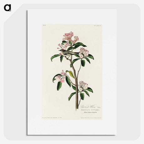 2-12_John-James-Audubon_picture
