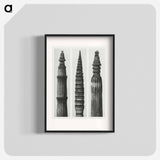 Equisetum Hiemale (Winter Horsetail) enlarged 12 times, Equisetum Maximum (Fox–Tailed Asparagus) enlarged 4 times, and Equisetum Hiemale (Winter Horsetail) enlarged 18 times from Urformen der Kunst - Karl Blossfeldt Poster.