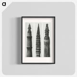 アートポスター-Equisetum Hiemale (Winter Horsetail) enlarged 12 times, Equisetum Maximum (Fox–Tailed Asparagus) enlarged 4 times, and Equisetum Hiemale (Winter Horsetail) enlarged 18 times from Urformen der Kunst - カール ブロスフェルト Poster.