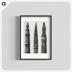 アートポスター-Equisetum Hiemale (Winter Horsetail) enlarged 12 times, Equisetum Maximum (Fox–Tailed Asparagus) enlarged 4 times, and Equisetum Hiemale (Winter Horsetail) enlarged 18 times from Urformen der Kunst - カール ブロスフェルト Poster.