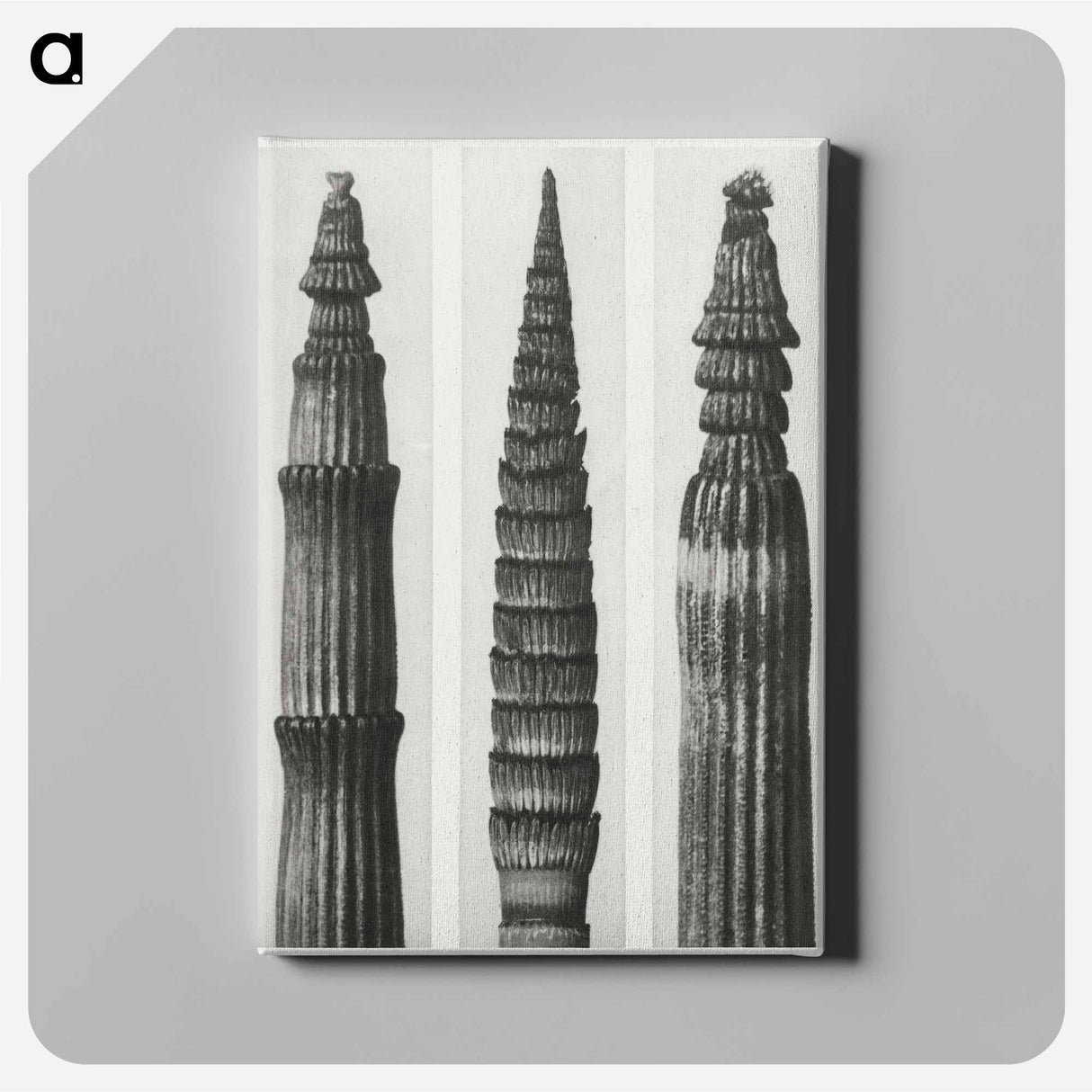 アートパネル-Equisetum Hiemale (Winter Horsetail) enlarged 12 times, Equisetum Maximum (Fox–Tailed Asparagus) enlarged 4 times, and Equisetum Hiemale (Winter Horsetail) enlarged 18 times from Urformen der Kunst - カール ブロスフェルト Canvas.