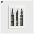 アートポストカード-Equisetum Hiemale (Winter Horsetail) enlarged 12 times, Equisetum Maximum (Fox–Tailed Asparagus) enlarged 4 times, and Equisetum Hiemale (Winter Horsetail) enlarged 18 times from Urformen der Kunst - カール ブロスフェルト Postcard.