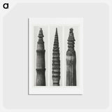 アートポストカード-Equisetum Hiemale (Winter Horsetail) enlarged 12 times, Equisetum Maximum (Fox–Tailed Asparagus) enlarged 4 times, and Equisetum Hiemale (Winter Horsetail) enlarged 18 times from Urformen der Kunst - カール ブロスフェルト Postcard.