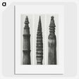 2-12_Karl-Blossfeldt_picture