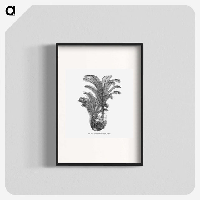 2-12_Les-Palmiers-Histoire-Iconographique_blk
