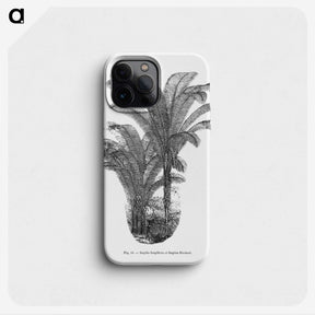 2-12_Les-Palmiers-Histoire-Iconographique_phone