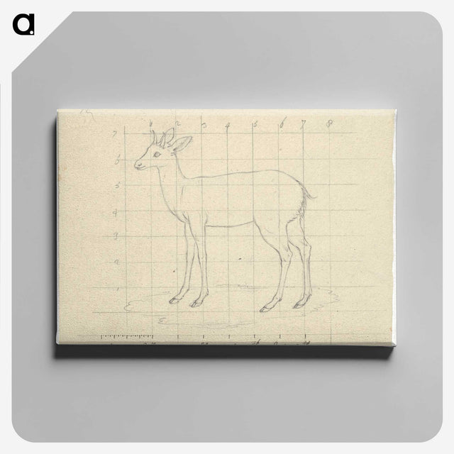 2-12_Luigi-Balugani_canvas