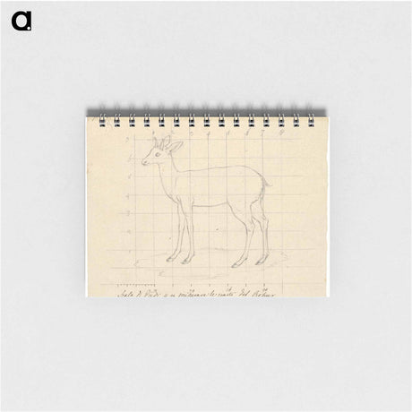 アートメモ帳-Bohur
 - ルイージ バルガーニ Memo.