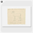 2-12_Luigi-Balugani_picture