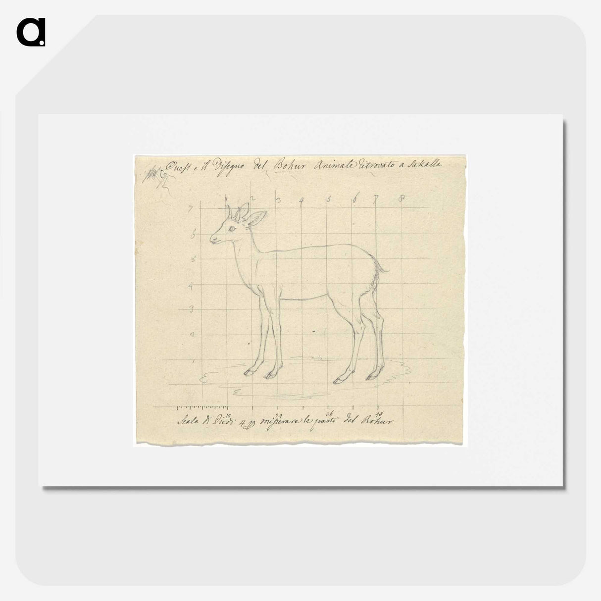 2-12_Luigi-Balugani_picture