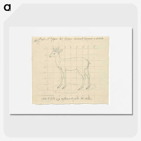 2-12_Luigi-Balugani_picture