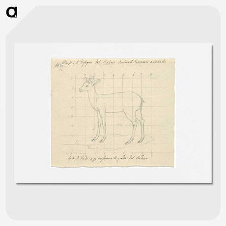 2-12_Luigi-Balugani_picture
