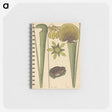 2-12_Mark-Catesby_memo