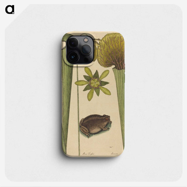 2-12_Mark-Catesby_phone