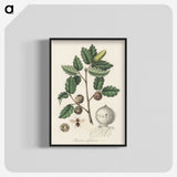 2-12_Medical-Botany_blk-crop