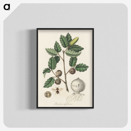 2-12_Medical-Botany_blk-crop