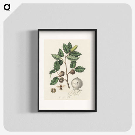 2-12_Medical-Botany_blk
