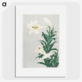 2-12_Ohara-Koson_picture