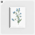 2-12_Pierre-Joseph-Redoute_memo