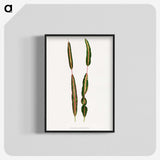2-12_Plants-with-Colored-Foliage_blk-crop