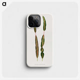 2-12_Plants-with-Colored-Foliage_phone