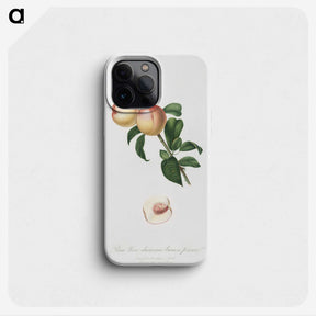 2-12_Pomona-Italiana_phone