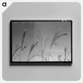 アートパネル-Horse and Cowboy Gloves
 - ラッセル リー Canvas.