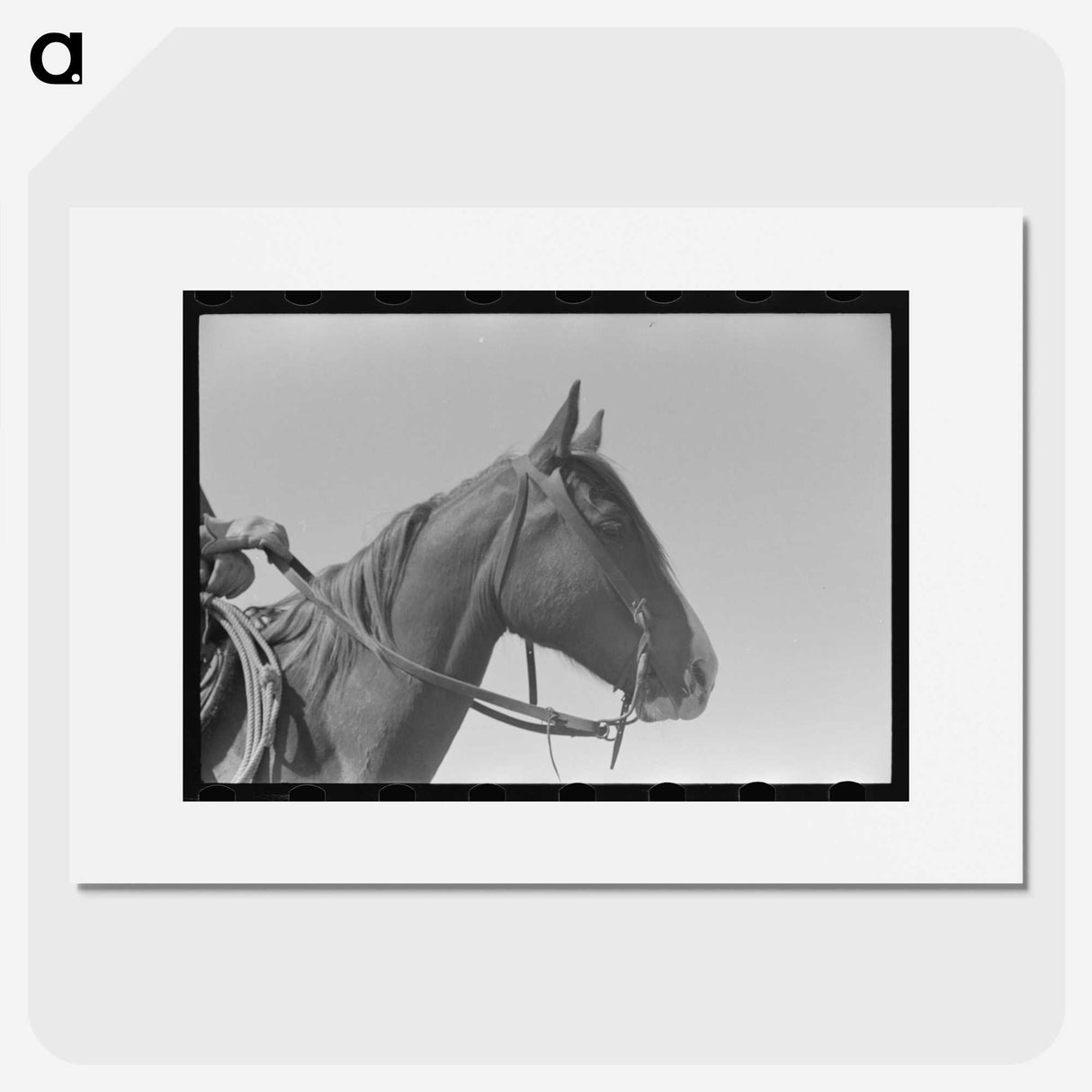 2-12_Russell-Lee_picture