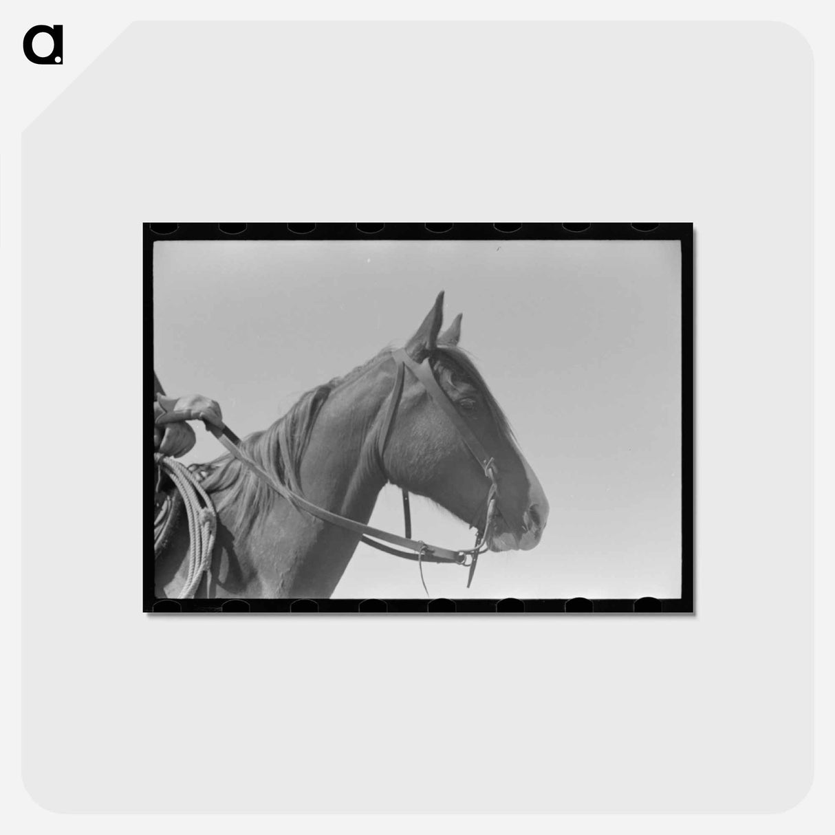 アートポストカード-Horse and Cowboy Gloves
 - ラッセル リー Postcard.