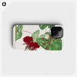 2-12_Seiyo-Soka-Zufu_phone