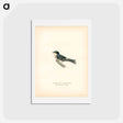 アートポストカード-Hybrid Swallow
 - スヴェンスカ フォグラル Postcard.