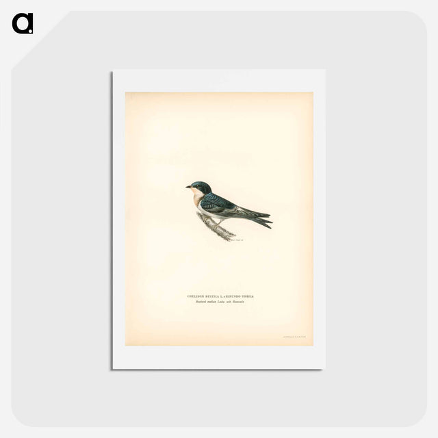アートポストカード-Hybrid Swallow
 - スヴェンスカ フォグラル Postcard.