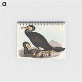 アートメモ帳-Australian Cormorant
 - オーストラリアの鳥 Memo.