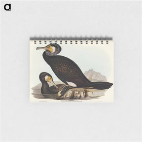 アートメモ帳-Australian Cormorant
 - オーストラリアの鳥 Memo.