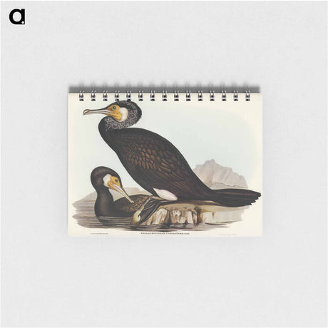 アートメモ帳-Australian Cormorant
 - オーストラリアの鳥 Memo.