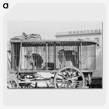 2-12_The-Burton-Brothers_picture-crop