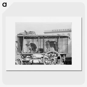 2-12_The-Burton-Brothers_picture