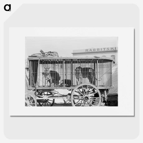 2-12_The-Burton-Brothers_picture