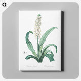 2-12_The-Lilies_canvas